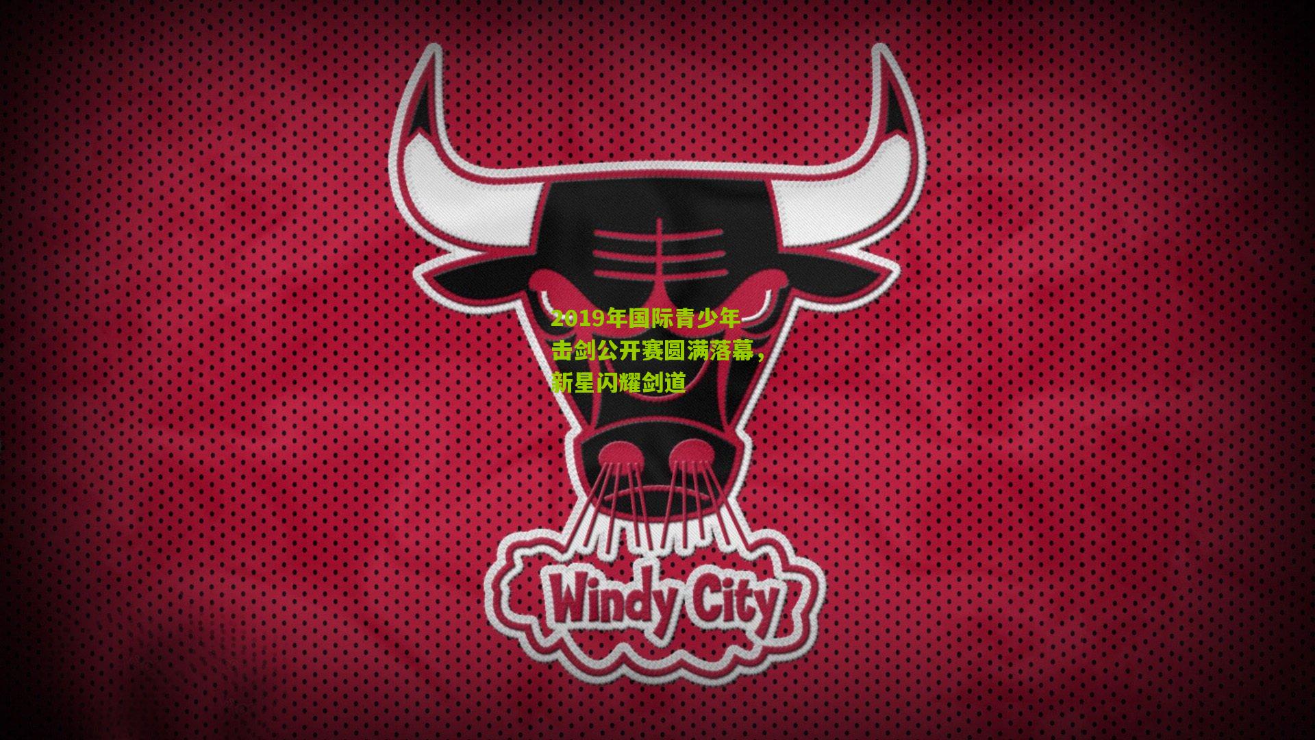 2019年国际青少年击剑公开赛圆满落幕，新星闪耀剑道