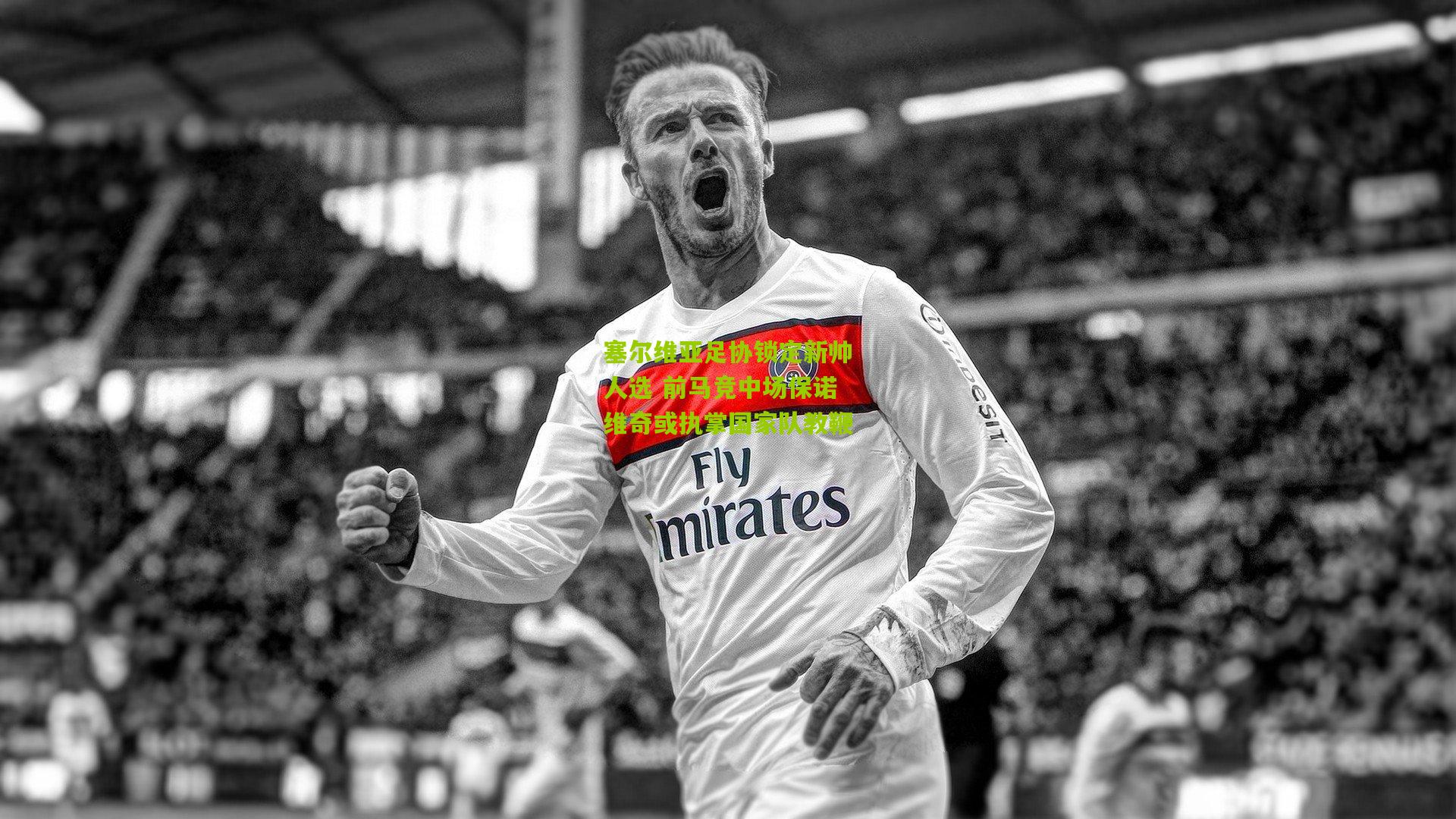 塞尔维亚足协锁定新帅人选 前马竞中场保诺维奇或执掌国家队教鞭